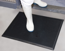 食品廠加工車(chē)間門(mén)口用鞋底清洗消毒墊